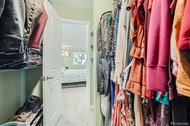 spacious closet with carpet flooring