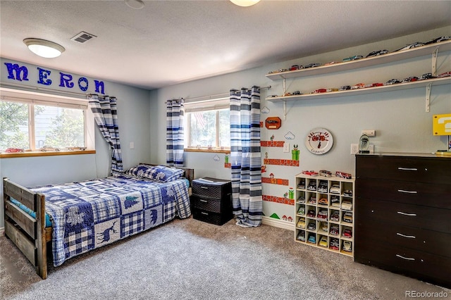 4241 Fescue Dr, Loveland, CO 80537 - photo 26