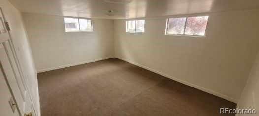 8001 Lowell Blvd, Westminster, CO 80031 - basement featuring carpet floors