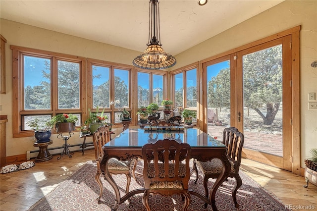 15573 County Road 260, Salida, CO 81201 - photo 18