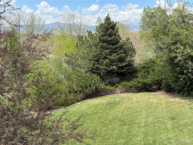 6335 Oberon Rd, Arvada, CO 80004 - view of green lawn with a wooded view and a mountain view