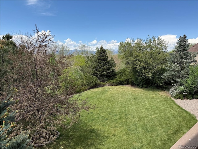 6335 Oberon Rd, Arvada, CO 80004 - view of green lawn
