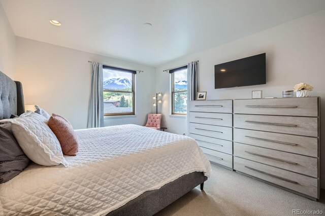 1090 Blue River Pkwy Unit 204, Silverthorne, CO 80498 - photo 12
