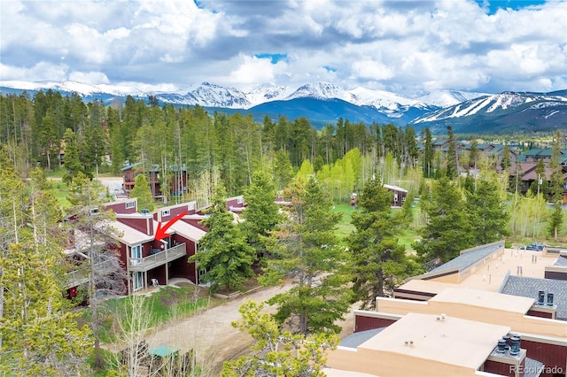 62 County Road 838 Unit 21-4, Fraser, CO 80442 - mountain view featuring a forest