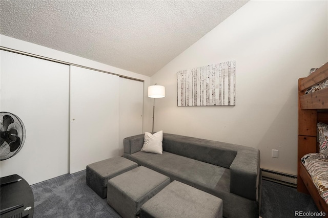 62 County Road 838 Unit 21-4, Fraser, CO 80442 - carpeted living area featuring a baseboard heating unit, vaulted ceiling, and a textured ceiling
