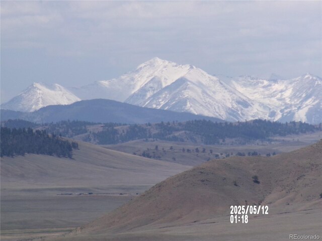 333 County Road 333, Lake George, CO 80827 - photo 4