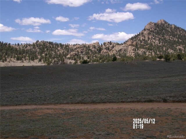 333 County Road 333, Lake George, CO 80827 - photo 7