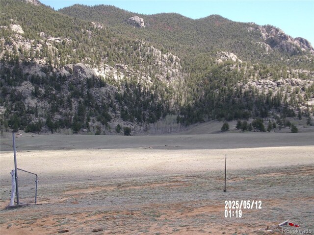 333 County Road 333, Lake George, CO 80827 - photo 8