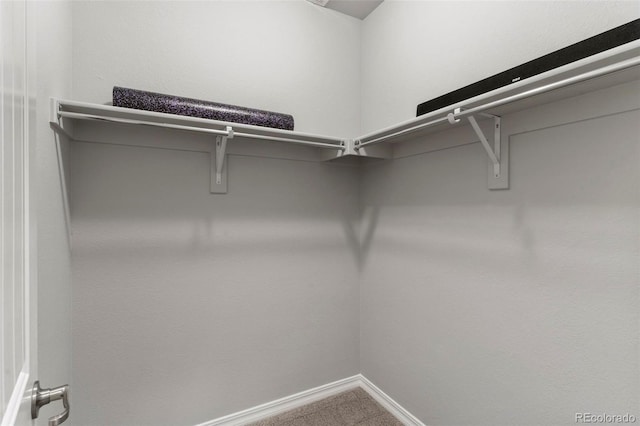 walk in closet with carpet