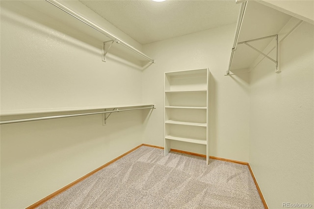 1624 Daphne St, Broomfield, CO 80020 - spacious closet featuring carpet