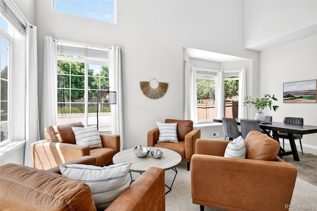 4501 Whitehall Ln, Highlands Ranch, CO 80126 - carpeted living room with a towering ceiling