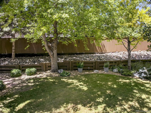 4501 Whitehall Ln, Highlands Ranch, CO 80126 - view of green lawn