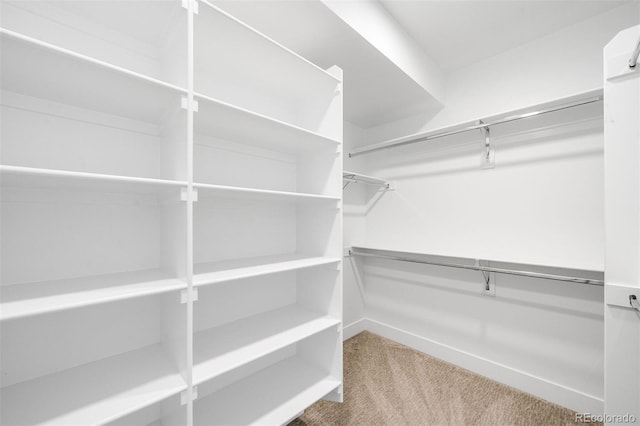 3658 Quivas St, Denver, CO 80211 - walk in closet featuring carpet flooring