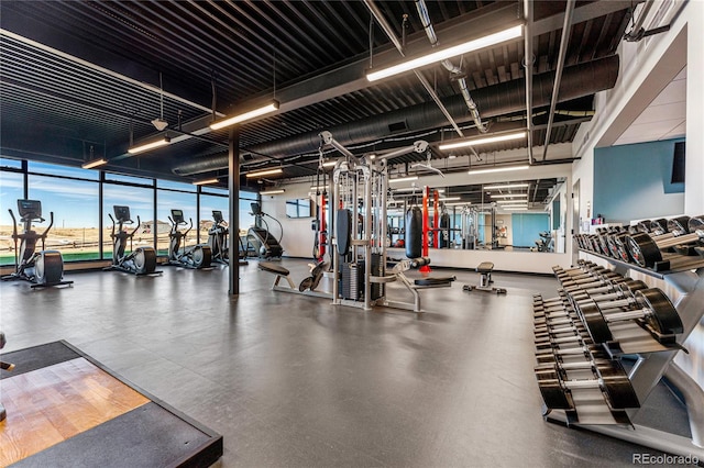 workout area with expansive windows