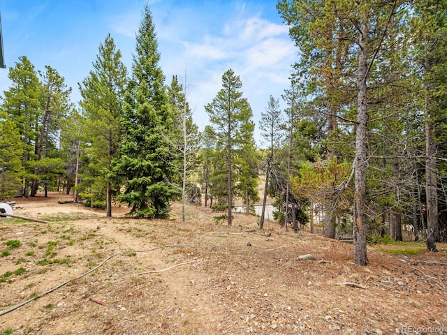 48 Warren Rd, Black Hawk, CO 80422 - view of nature