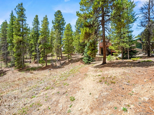48 Warren Rd, Black Hawk, CO 80422 - view of yard