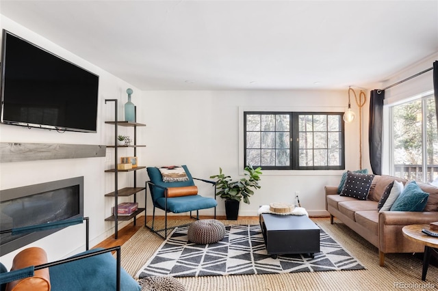 living room featuring wood-type flooring