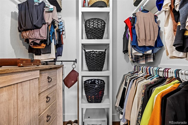 view of spacious closet