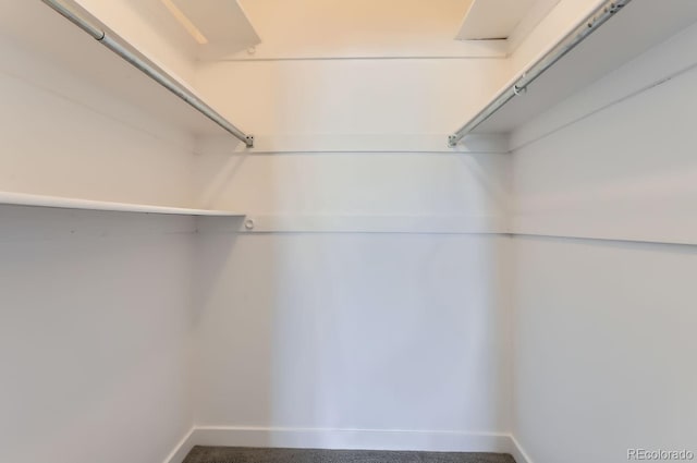 spacious closet with carpet