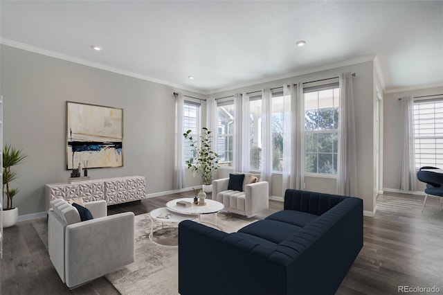 living room featuring ornamental molding and dark hardwood / wood-style floors