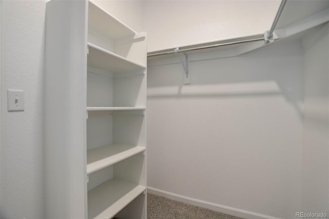 walk in closet featuring carpet flooring