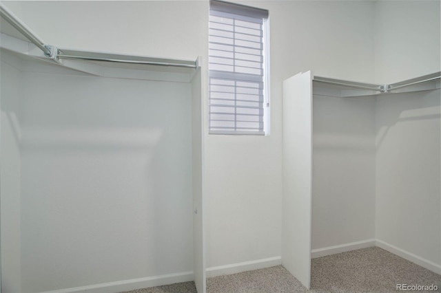 walk in closet featuring carpet floors