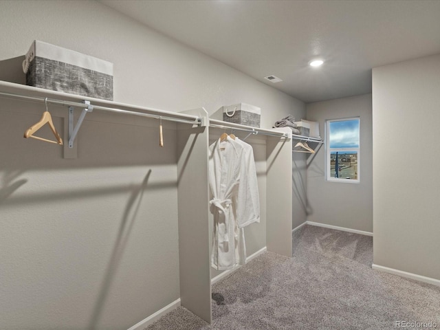 spacious closet with carpet flooring