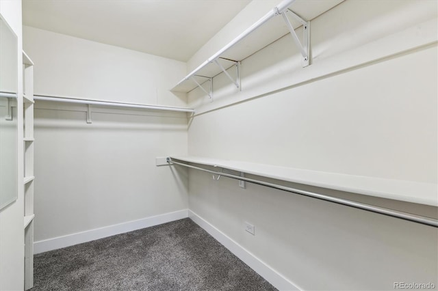 695 S Alton Way Unit 5A, Denver, CO 80247 - spacious closet with dark colored carpet