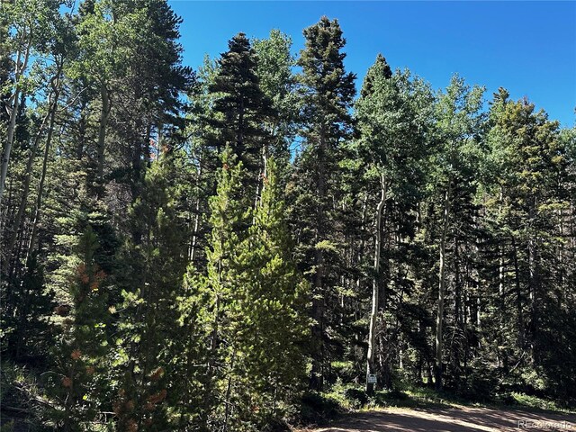 3257 Purnell Ln, Fort Garland, CO 81133 - photo 8