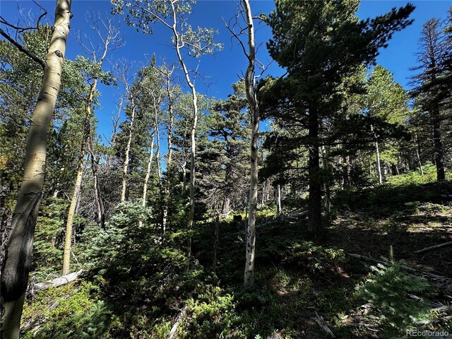 3257 Purnell Ln, Fort Garland, CO 81133 - photo 6