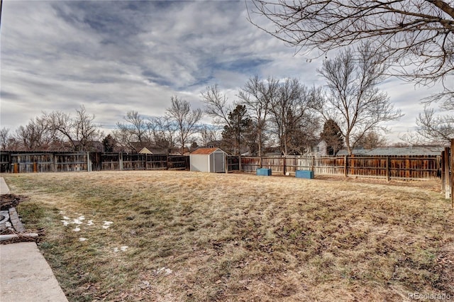 view of yard featuring a storage unit