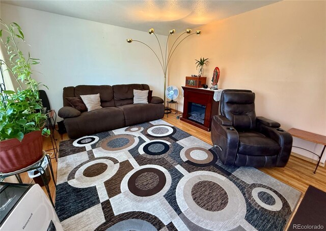 2213 S Meade St, Denver, CO 80219 - living room featuring wood finished floors, a glass covered fireplace, and baseboards