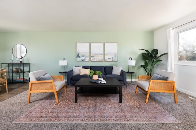 living room featuring hardwood / wood-style floors