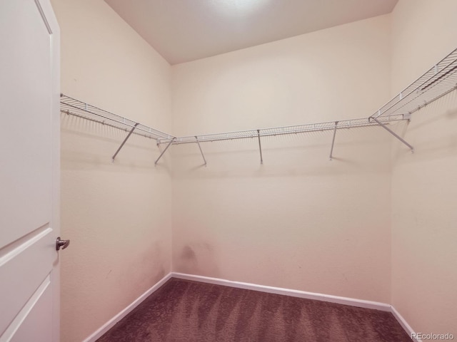 11316 Colony Cir, Broomfield, CO 80021 - photo 20