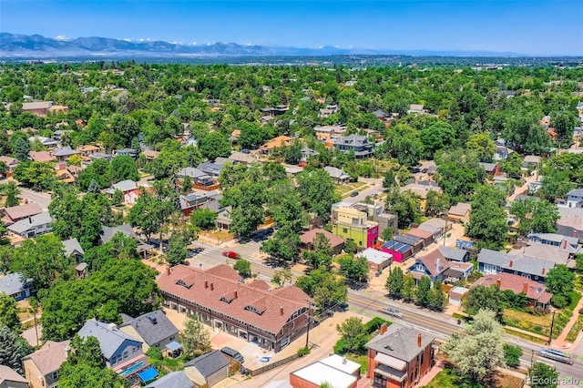 3922 W 29th Ave, Denver, CO 80212 - photo 37
