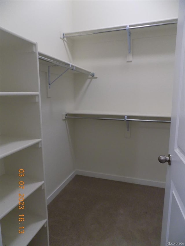 view of walk in closet