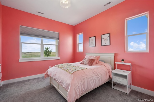 19751 Good Life Vw, Calhan, CO 80808 - bedroom featuring carpet and baseboards