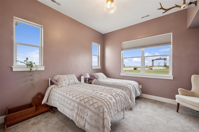 19751 Good Life Vw, Calhan, CO 80808 - bedroom featuring carpet floors and baseboards