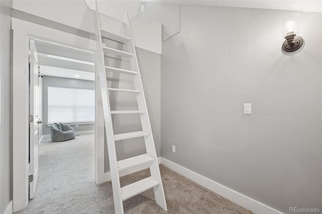 19751 Good Life Vw, Calhan, CO 80808 - stairway with carpet and baseboards