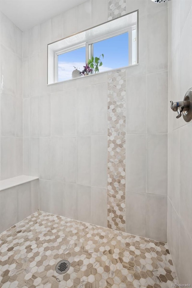 19751 Good Life Vw, Calhan, CO 80808 - bathroom with tiled shower