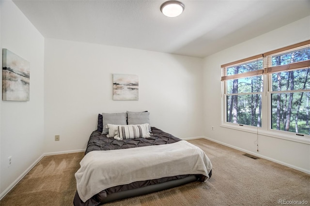 17865 Smugglers Rd, Monument, CO 80132 - photo 25