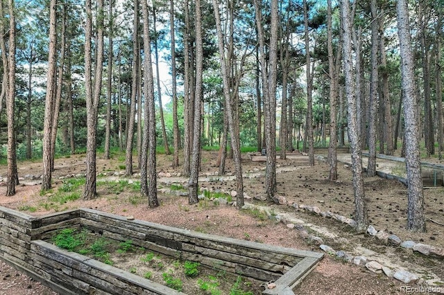 17865 Smugglers Rd, Monument, CO 80132 - photo 47