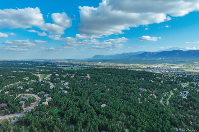 17865 Smugglers Rd, Monument, CO 80132 - photo 50