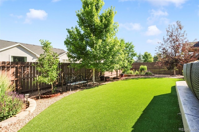 3326 Daydreamer Dr, Colorado Springs, CO 80908 - view of fenced backyard