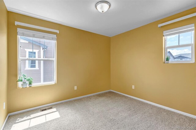 3429 Hardin St, Castle Rock, CO 80109 - unfurnished room with carpet and baseboards
