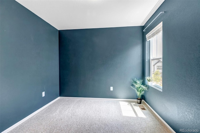 3429 Hardin St, Castle Rock, CO 80109 - carpeted empty room with baseboards