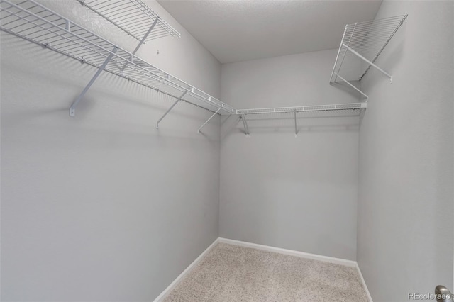 3429 Hardin St, Castle Rock, CO 80109 - spacious closet with carpet floors
