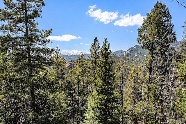 11557 Green Cir, Conifer, CO 80433 - mountain view with a heavily wooded area