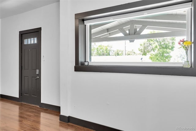 4432 Columbine St, Denver, CO 80216 - foyer entrance featuring wood finished floors, plenty of natural light, and lofted ceiling