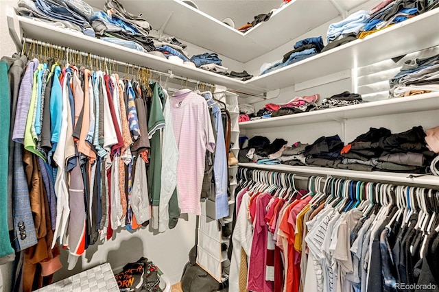 view of walk in closet